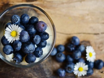 BLUEBERRIES BLUE COLOUR INDICATES THAT THEY ARE HEALTHY