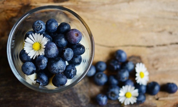 BLUEBERRIES BLUE COLOUR INDICATES THAT THEY ARE HEALTHY