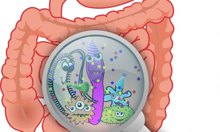 HOW THE GUT INFLUENCES MENTAL HEALTH